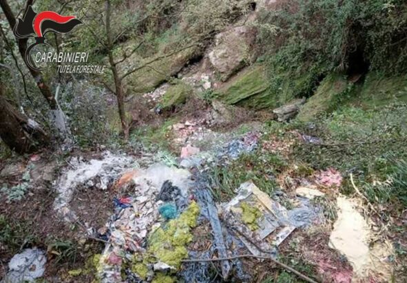 FOTO CARABINIERI FORESTALI